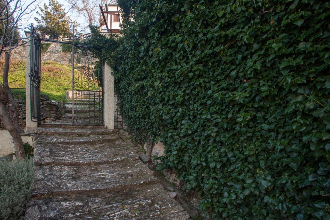 Villa Evridiki By Pelion Esties Агіос-Георгіос-Ніліас Екстер'єр фото