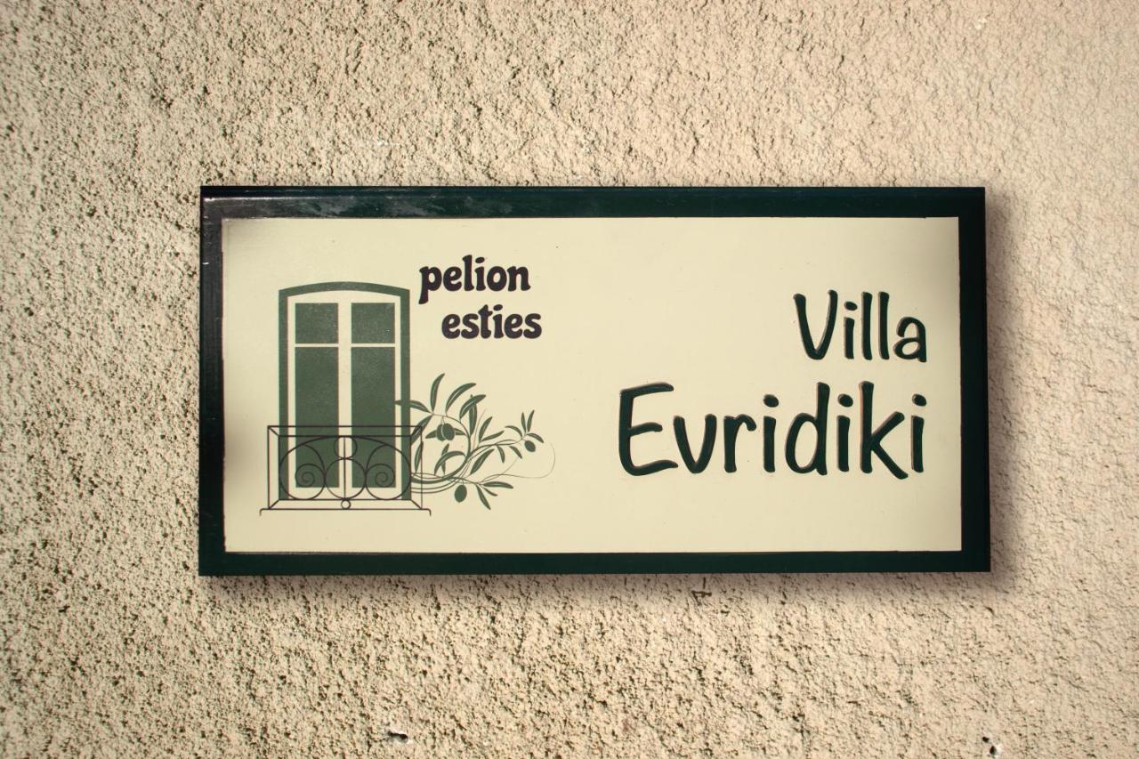 Villa Evridiki By Pelion Esties Агіос-Георгіос-Ніліас Екстер'єр фото